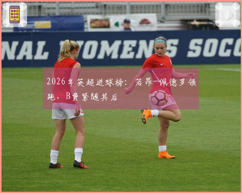 2026年英超进球榜：若昂-佩德罗领跑，B费紧随其后